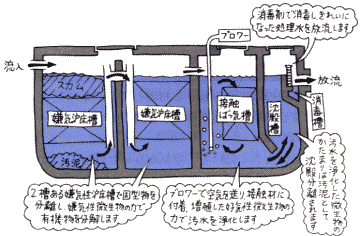 浄化槽の仕組み